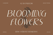 CS Roastery – Elegant Font, a Serif Font by Craft Supply Co. (Thumbnail 5 of 8)