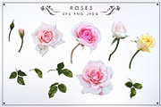Roses set PNG EPS, a Decorative Illustration by ollalya (Thumbnail 2 of 2)