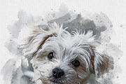 Dog Watercolor Photo Effect, an Action Add-On by Photoshop Action (Thumbnail 15 of 19)