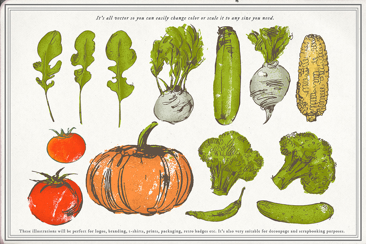 Vegetable collection 1, an Object Graphic by Siosay (Photo 8 of 11)