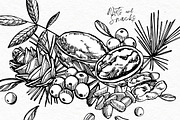 Nuts and snacks, a Food Illustration by Ann Astro (Thumbnail 23 of 24)