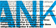 Franklin Gothic Raw, a Sans Serif Font by Wiescher-Design (Thumbnail 4 of 6)