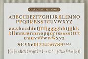 Forza Eitalea, a Serif Font by Dora Typefoundry (Thumbnail 11 of 11)