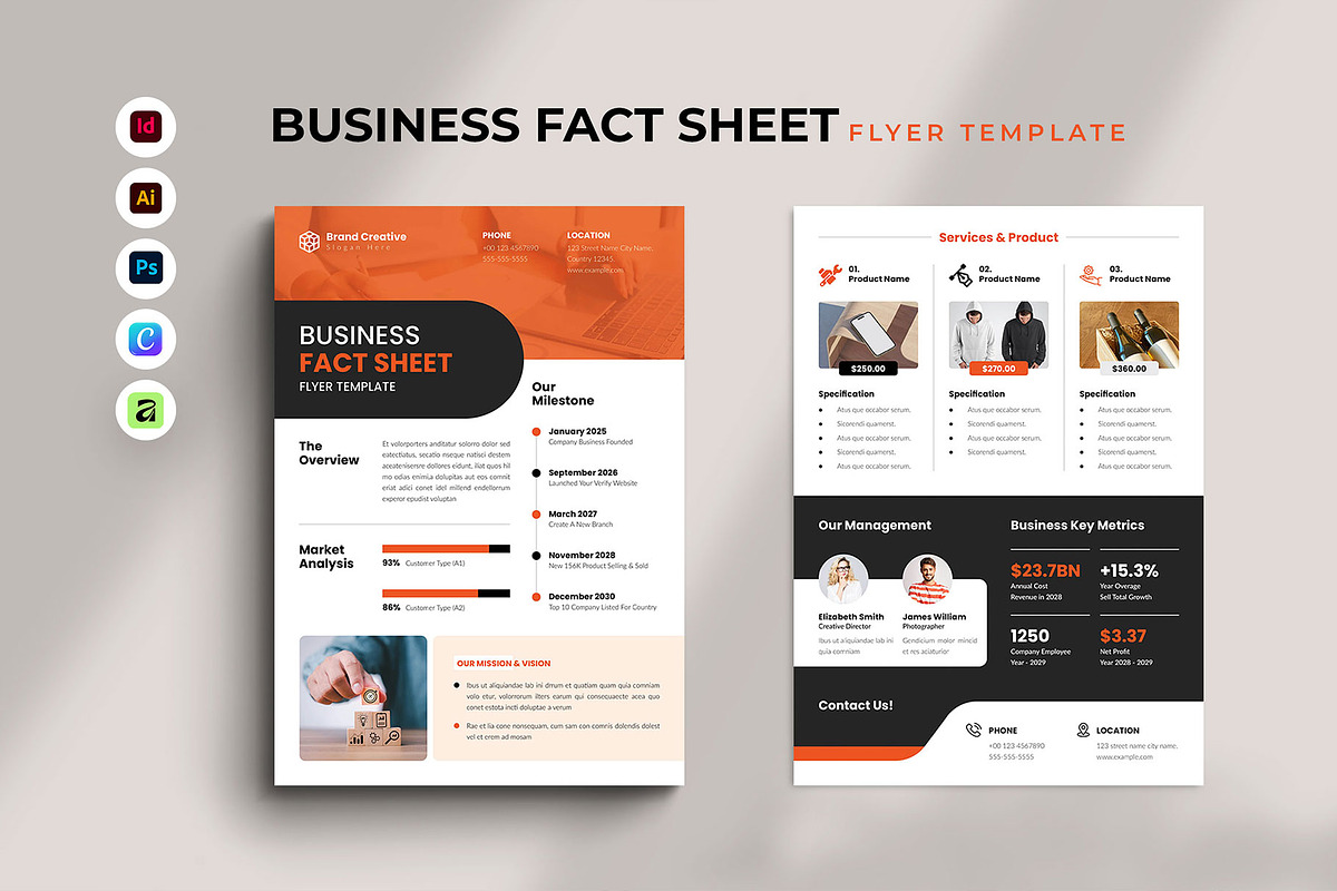 Business Factsheet Flyer Template, a Flyer Template by Spark_Creative (Photo 1 of 5)