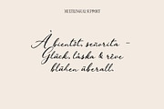 Vintage Elegance Script, a Script Font by BilberryCreates (Thumbnail 9 of 9)