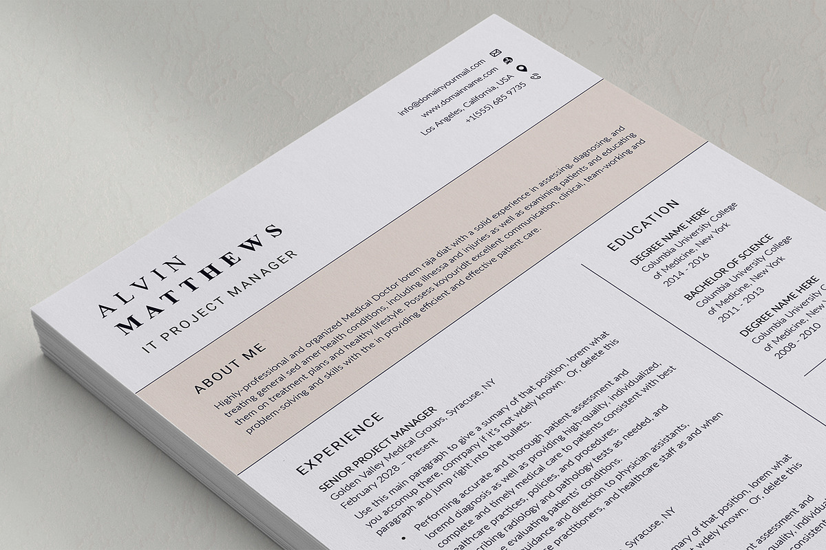 Canva IT Project Manager preview 6
