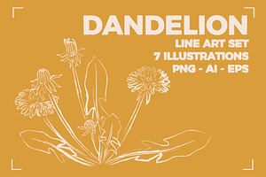 DANDELION LINE ART SET 7 ELEMENTS