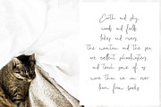 Solution Script, a Script Font by Creamy Script (Thumbnail 5 of 5)