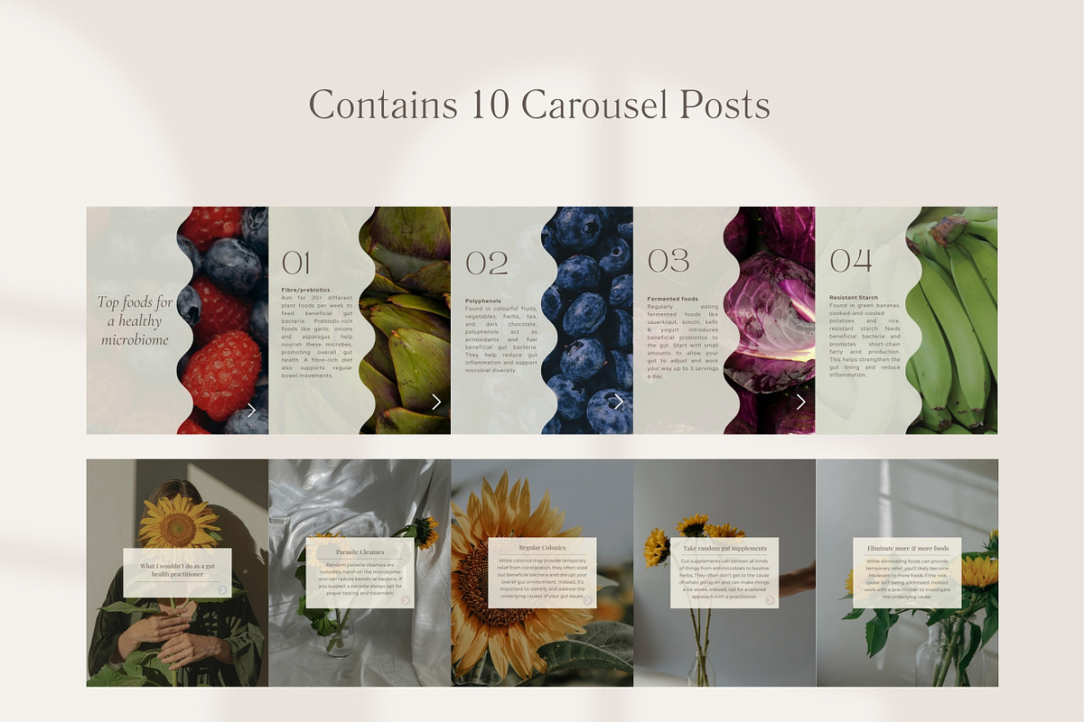 Gut Aesthetic Instagram Posts Canva preview 8