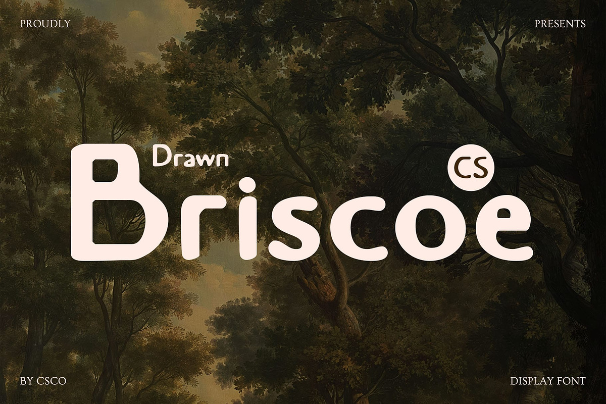 CS Briscoe Drawn, a Sans Serif Font by Craft Supply Co. (Photo 1 of 8)