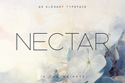 Nectar Typeface, a Sans Serif Font by Tugcu Design Co. (Thumbnail 1 of 5)