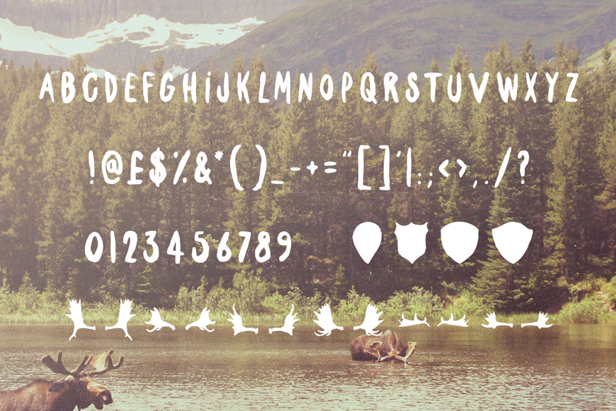 Tiny Moose Font preview 3