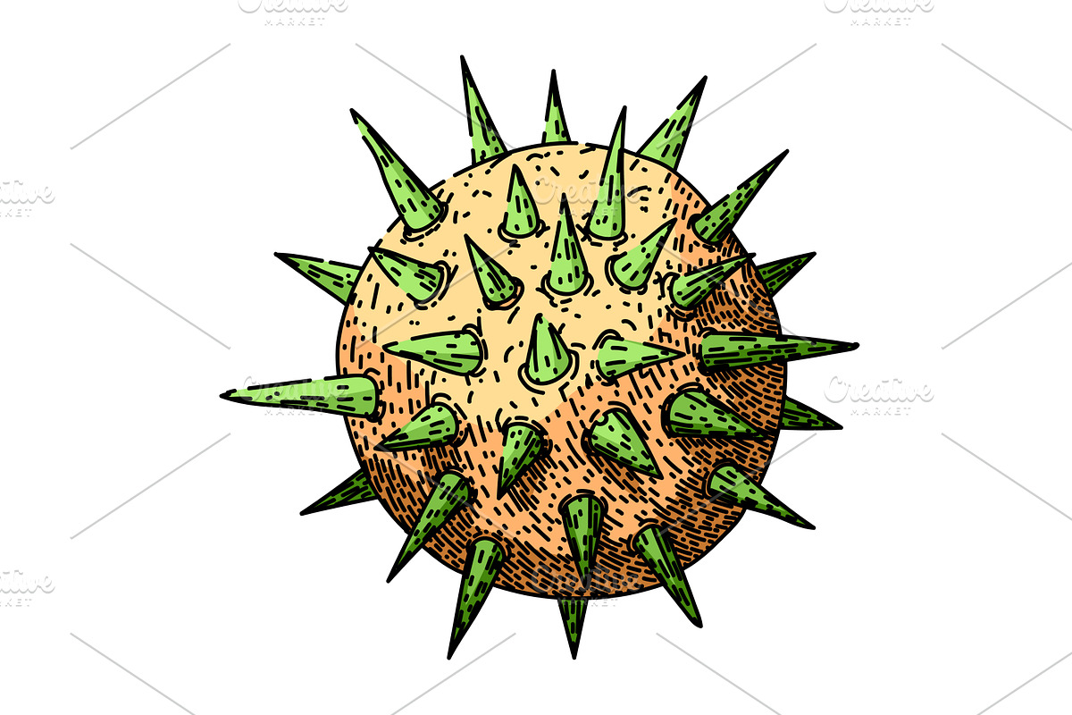beach virus sketch hand drawn vector, an Illustration by pikepicture