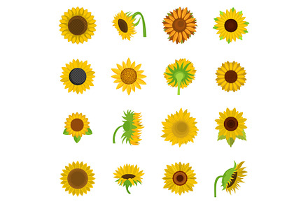 Sunflower blossom icons set vector, an Object Illustration by Ylivdesign