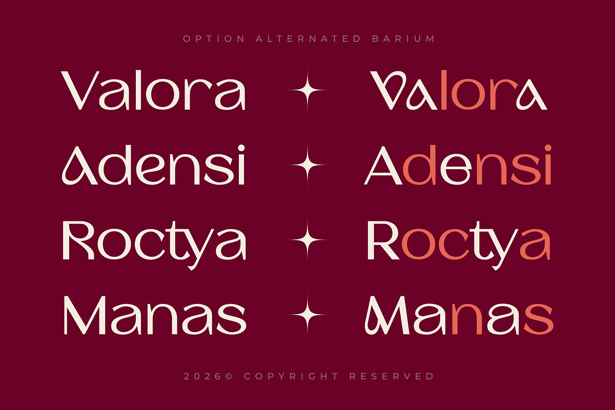 Barium - Luxury Elegant Beauty Sans, a Sans Serif Font by Typia Nesia (Photo 4 of 11)