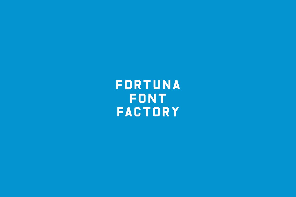 Camisa: Hand Drawn Sans Serif, a Handwritten Font by Fortuna Font Foundry (Photo 5 of 5)