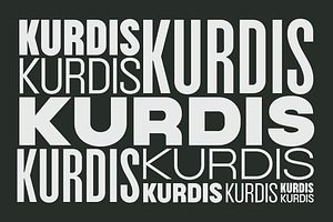 Kurdis Font Family 30 Styles