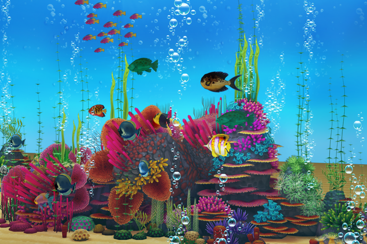 Colorful Sea Fish, an Animal 3D Model by Souchenki (Photo 3 of 4)