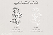 Magnolia Flower Vector Illustration, an Illustration by IllustratorAnnie (Thumbnail 3 of 7)