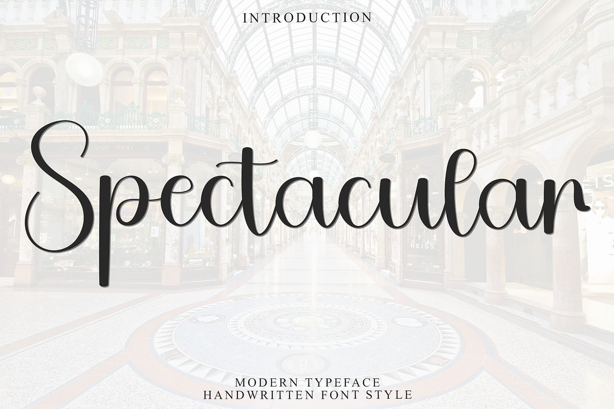Spectacular, a Handwritten Font by FreshTypeINK (Photo 1 of 8)