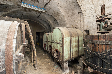 Vintage cellar