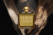 Natives Honor Elegant Hybrid Serif, a Serif Font by timelesstype.co (Thumbnail 12 of 20)