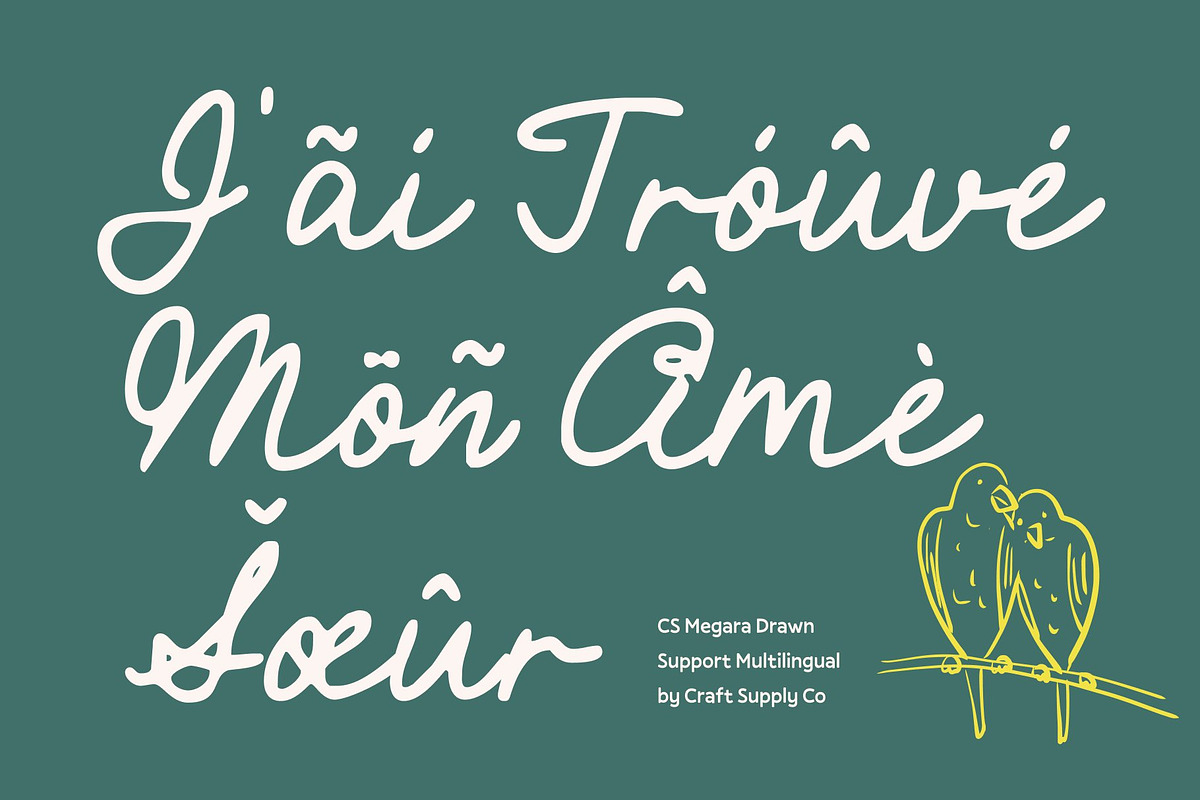 CS Megara Drawn, a Script Font by Craft Supply Co. (Photo 7 of 8)