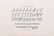 Dengacho Signature Signature Script, a Script Font by Denustudios (Thumbnail 11 of 12)