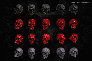 Skull Renders - 35 3D Renders