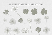 Clover Botanicals - Florals & Leaves, an Illustration by Momo Studio (Thumbnail 5 of 12)