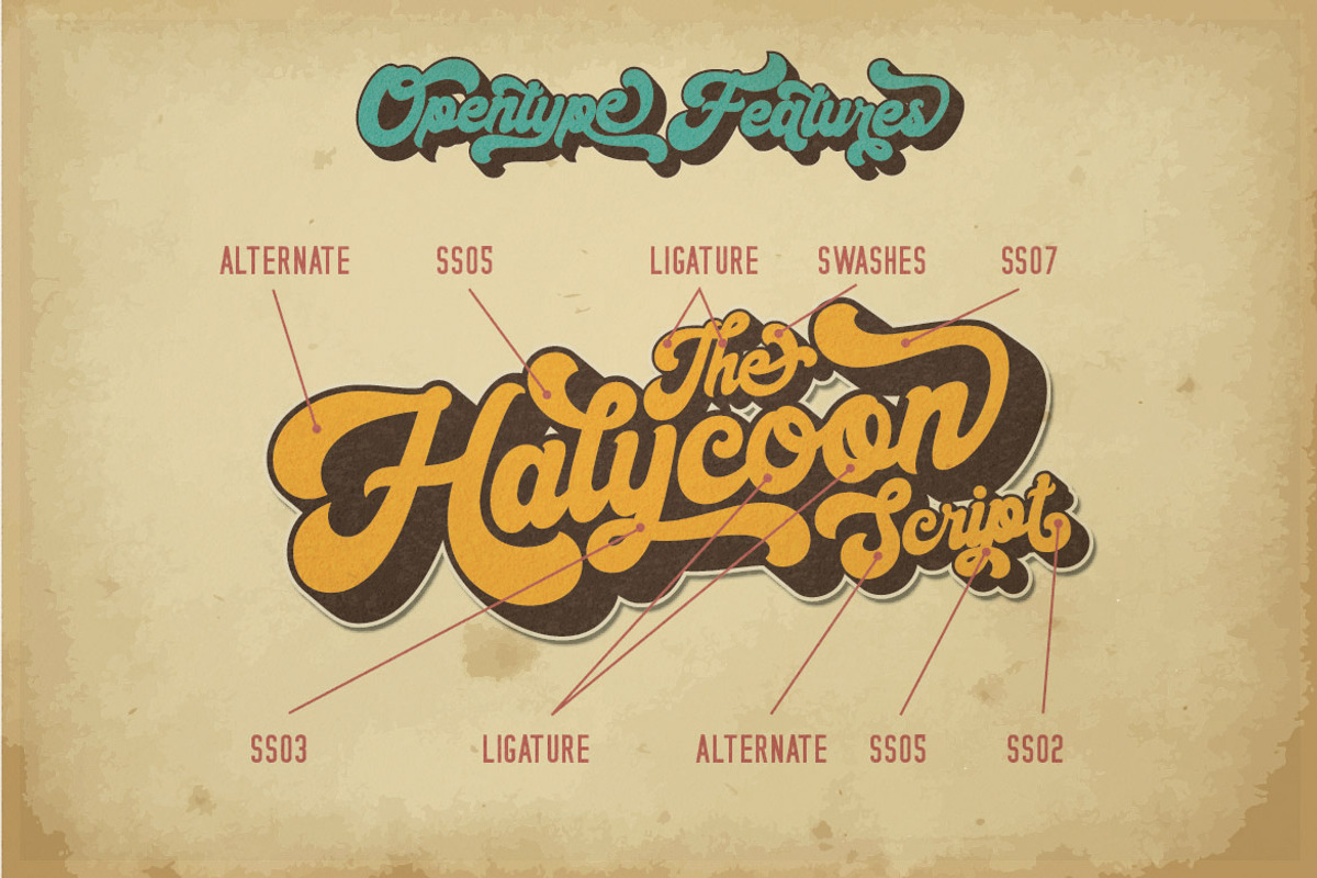 Halycoon | Retro Bold Script, a Script Font by Almeera Std (Photo 5 of 14)