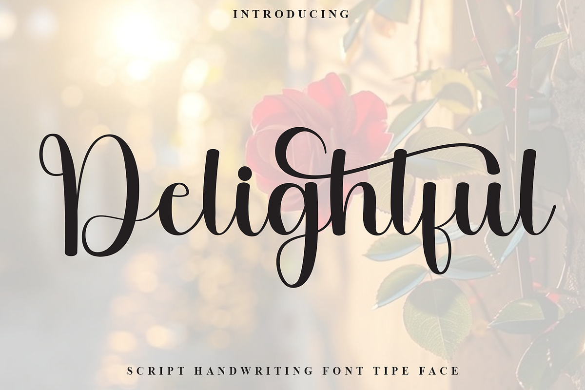 Delightful, a Handwritten Font by InermediaSTUDIO (Photo 1 of 8)