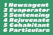Barni – Bold Retro Groovy Font, a Font by Genetype (Thumbnail 6 of 10)