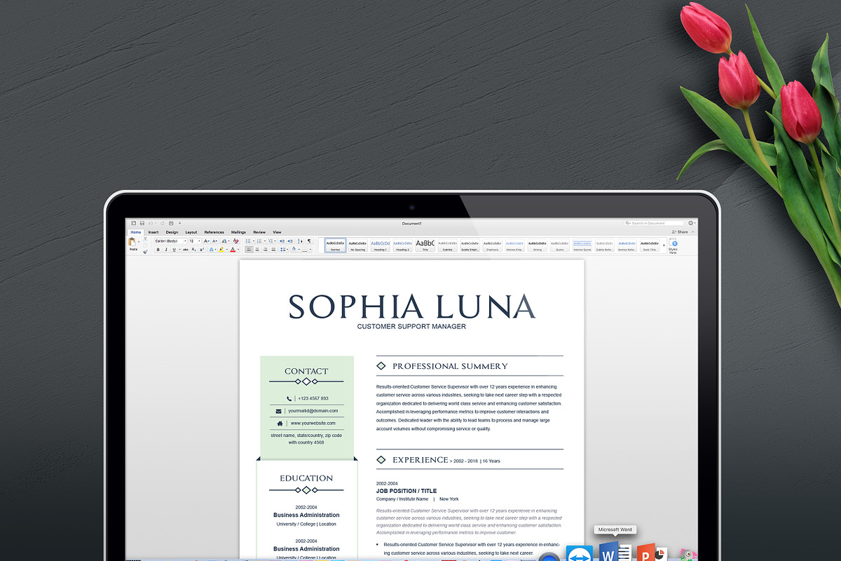 Clean Resume Template MS Word, a Resume Template by ResumeInventor