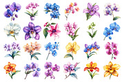 Delicate Orchid Flower Clipart, an Illustration by Daily.Designs (Thumbnail 4 of 4)