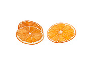 Watercolor fruit&vegetable slices, a Food Illustration by Katya Zlobina (Thumbnail 13 of 14)