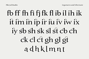 Silent Citadel – Editorial Serif, a Serif Font by Fikryal Studio (Thumbnail 15 of 16)