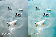 15 Clean Color Lightroom Presets, a Preset Add-On by TheWayfarerShoppe (Thumbnail 5 of 9)
