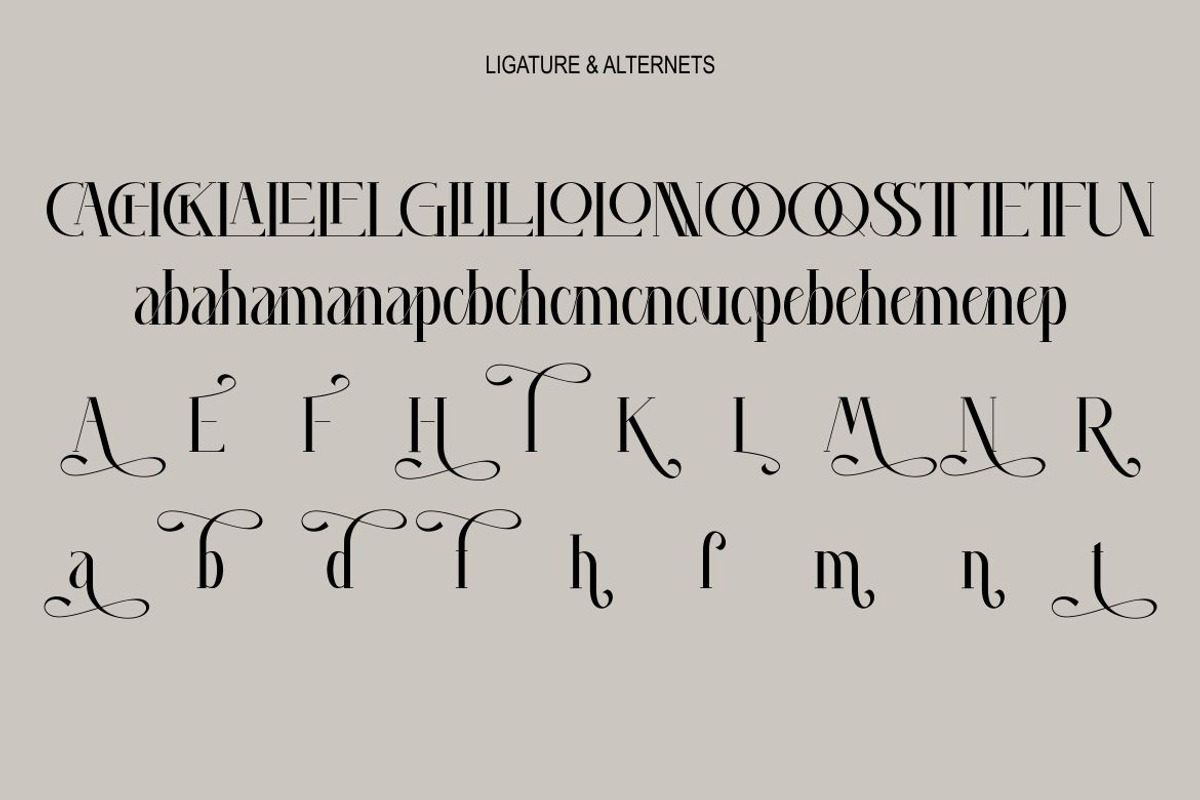 Arania, a Serif Font by Kenrichi (Photo 4 of 10)