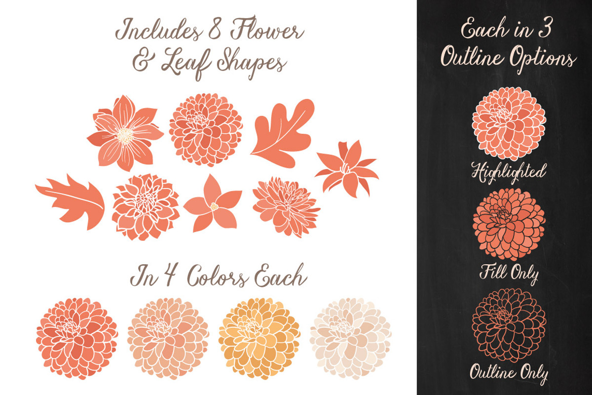 Peach Dahlia Flower Vector Clipart, an Illustration by Amanda Ilkov (Photo 3 of 4)