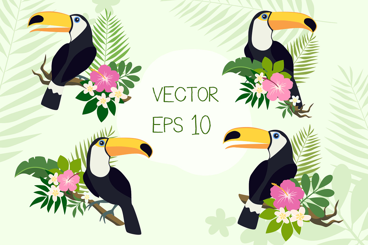 Toucan Birds + Bonus Patterns, an Animal Illustration by Imaginasty (Photo 2 of 5)