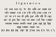 NY Glamour Authentic, a Serif Font by NYDESIGN (Thumbnail 8 of 10)
