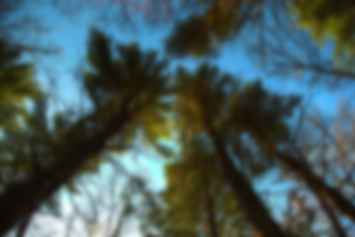8 Blurred Landscape Images preview 3