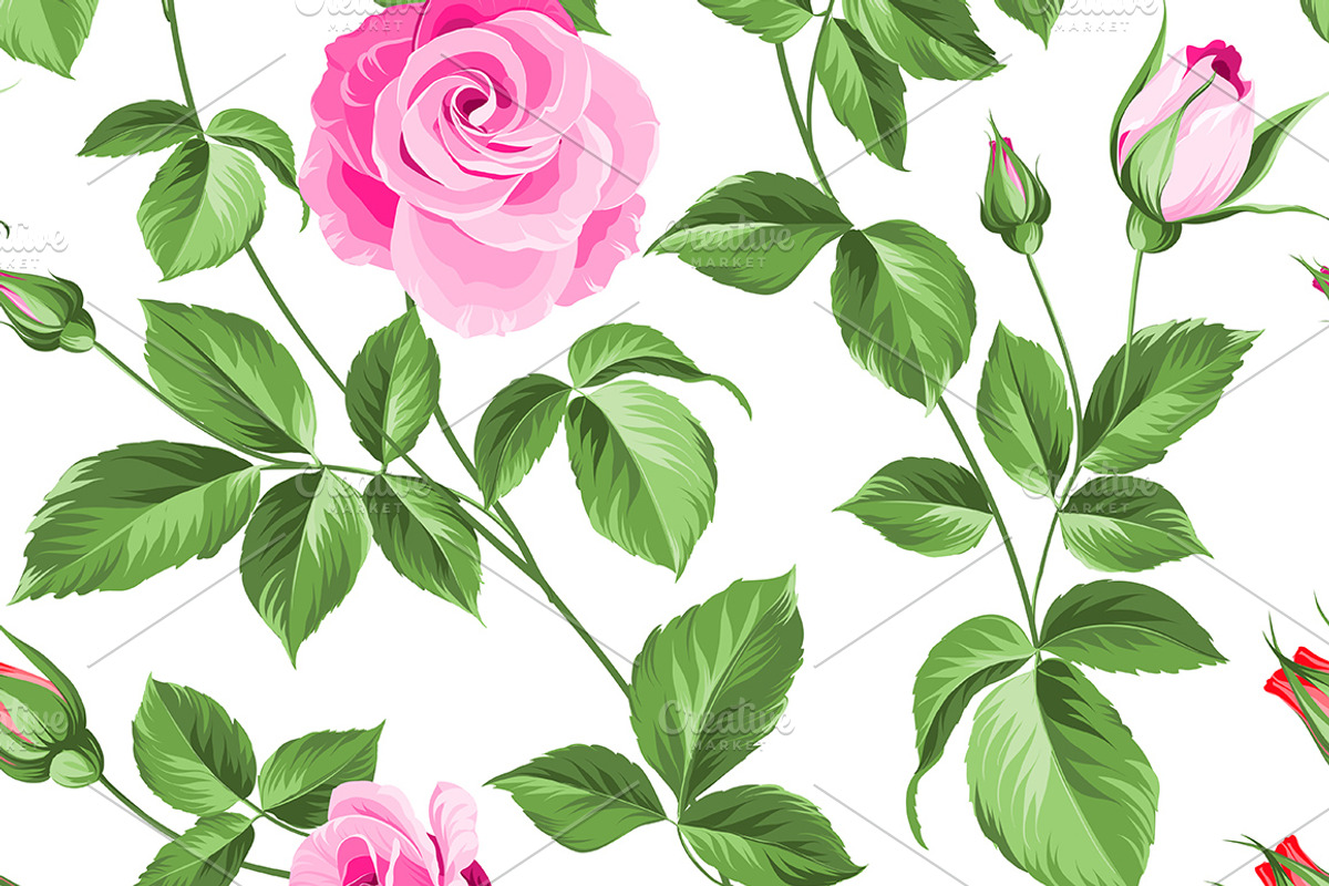 Roses pattern., a Pattern Graphic by Kotkoa
