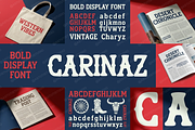 CarinaZ | Elegant Modern Serif, a Serif Font by Astuti Studio (Thumbnail 1 of 25)