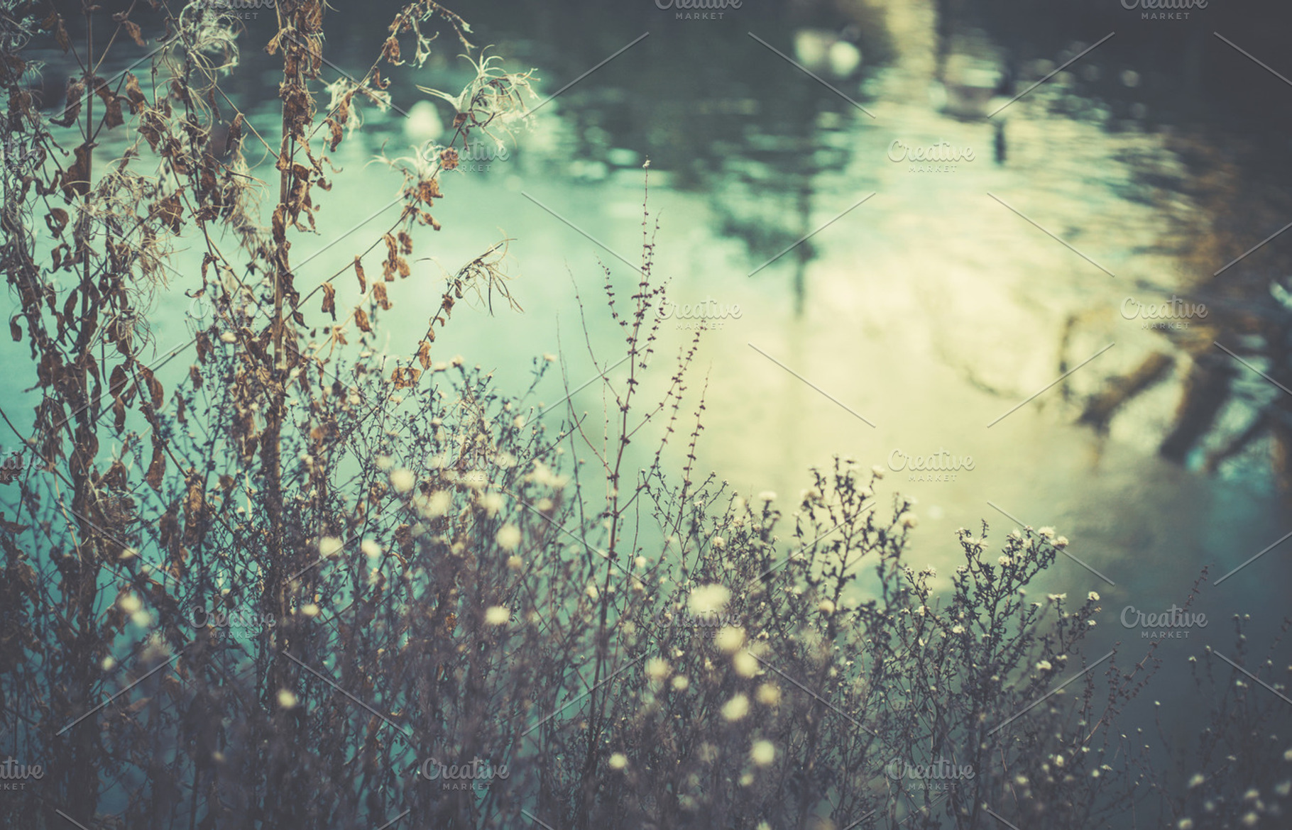 Iseeyouphoto winter lake 6 stock photo containing nature and outdoors, a Nature Photo by ISEEYOUPATTERN