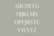 Aadam A Modern Serif Font Family, a Serif Font by Creativetacos (Thumbnail 3 of 6)