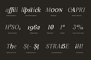 Restora Neue - 18 Fonts, a Serif Font by Nasir Udin (Thumbnail 19 of 20)