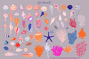 seashells collection, a Texture Illustration by Mona Ahmed (Thumbnail 2 of 10)