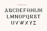 Avello - Modern Elegant Serif Font, a Serif Font by Mily Studio (Thumbnail 4 of 10)
